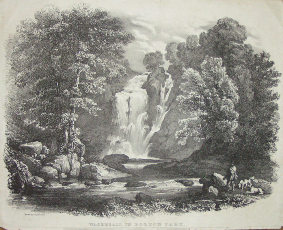 Lithograph - Waterfall in Bolton Park - Davis
